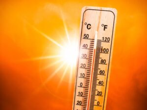 Leia mais sobre o artigo Construção lança campanha para enfrentar o calor nas obras